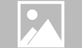 蜜蜂视频,探索自然之美，感受生态和谐